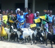 A gift of a goat empowers African women